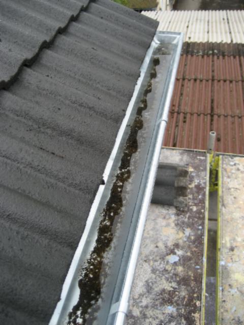 Bild zum BAU-Forumsbeitrag: Dachbeschichtung richtig ausgeführt/Anerkannte Regeln der Technik? im Forum Dach
