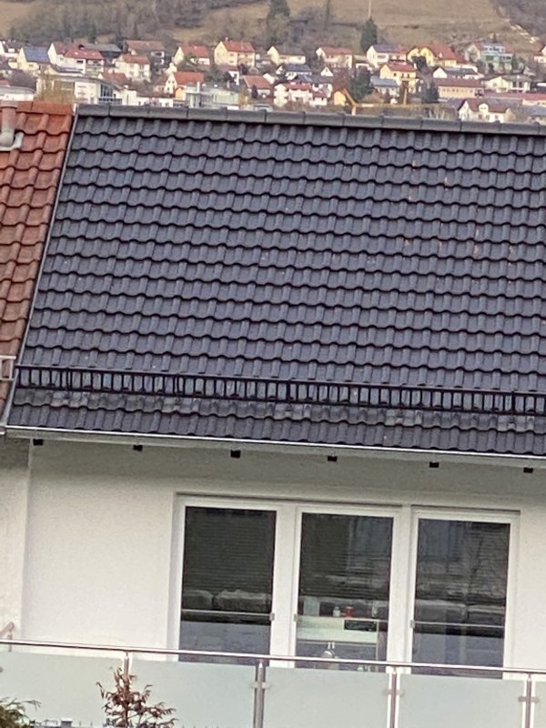 BAU.DE / BAU-Forum: 2. Bild zu Frage "Schäden der Dachpfannen" im BAU-Forum "Dach"