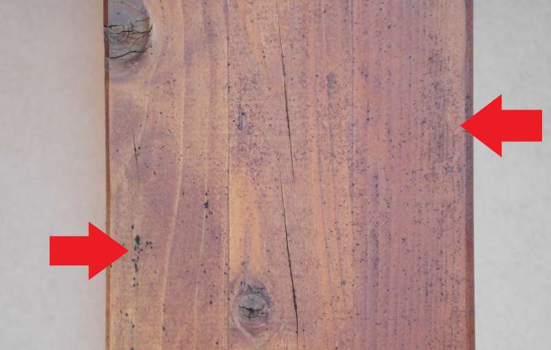 Bild zum BAU-Forumsbeitrag: Pilz o.ä. im Holz? im Forum Holzschutz, Holzschäden, Holzsanierung