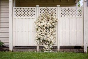 Terrasse gestalten: Ideen, Tipps & Bodenbeläge im Vergleich - Bild: Tracy Adams auf Unsplash