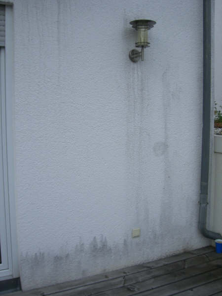 BAU.DE / BAU-Forum: 1. Bild zu Antwort "Bild 2 ..." auf die Frage "Schwarze Flecken Fassade: Algen, Schimmel oder Schmutz? Ursachen & Schnelltest" im BAU-Forum "Au&szlig;enw&auml;nde und Fassaden"