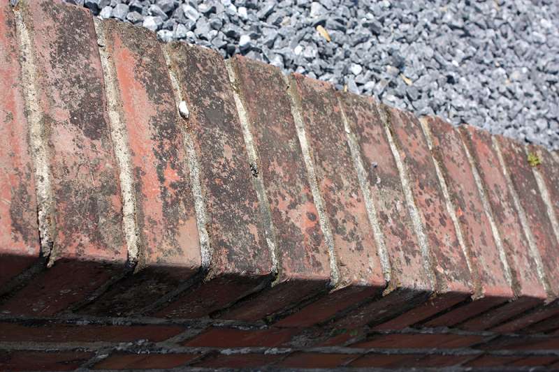 BAU.DE / BAU-Forum: 3. Bild zu Frage "Flecken auf Bachsteinmauer durch Moose und Flechten, Patina, wie wegbekommen?" im BAU-Forum "Außenwände und Fassaden"