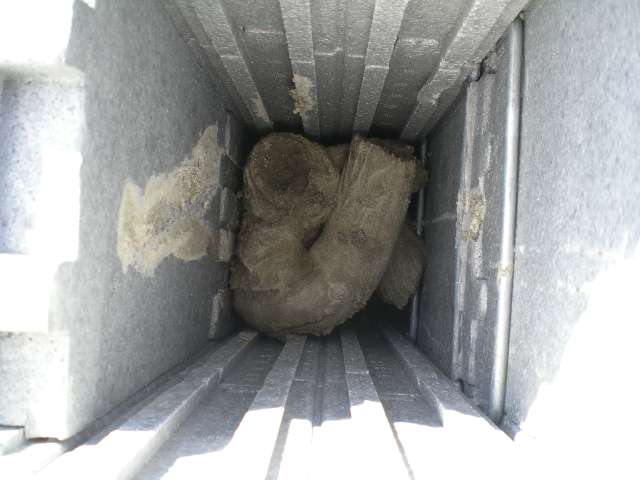 BAU.DE / BAU-Forum: 1. Bild zu Frage "Schalungssteine bef&uuml;llen & betonieren: Anleitung, Tipps & h&auml;ufige Fehler vermeiden?" im BAU-Forum "Au&szlig;enw&auml;nde und Fassaden"