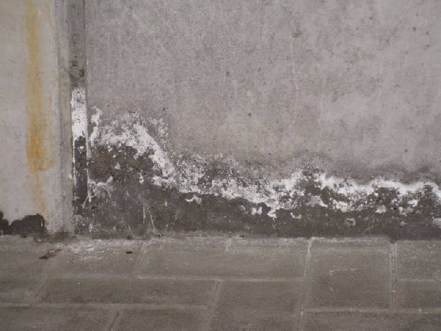 BAU.DE / Forum: 1. Bild zu Frage "Salz auf Betonsockel in TG" im Forum "Außenwände und Fassaden"