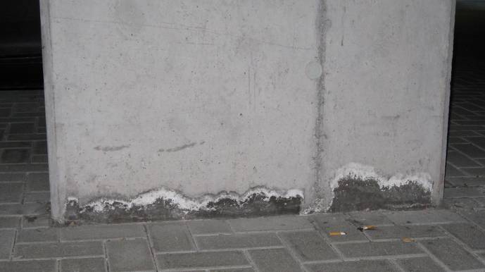 BAU.DE / Forum: 2. Bild zu Frage "Salz auf Betonsockel in TG" im Forum "Außenwände und Fassaden"