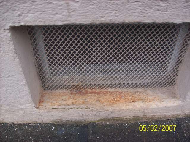 BAU.DE / BAU-Forum: 2. Bild zu Frage "Feuchte W&auml;nde in Wohnung: Ursachen, Schimmelbildung & Sanierungsm&ouml;glichkeiten?" im BAU-Forum "Au&szlig;enw&auml;nde und Fassaden"