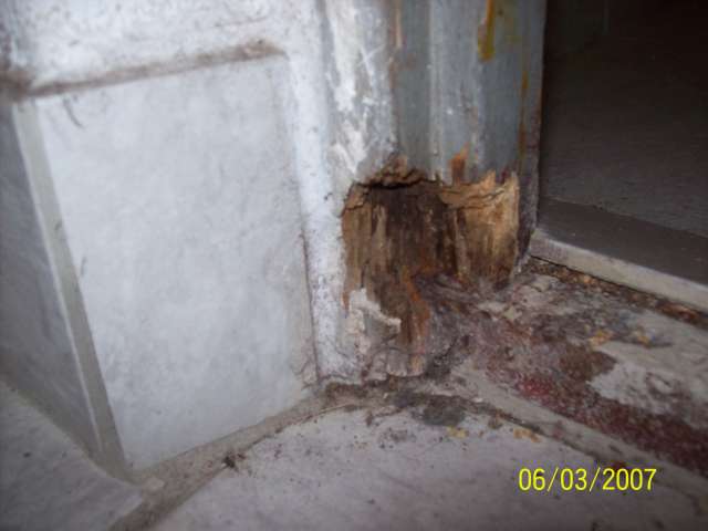 BAU.DE / BAU-Forum: 4. Bild zu Frage "Feuchte W&auml;nde in Wohnung: Ursachen, Schimmelbildung & Sanierungsm&ouml;glichkeiten?" im BAU-Forum "Au&szlig;enw&auml;nde und Fassaden"