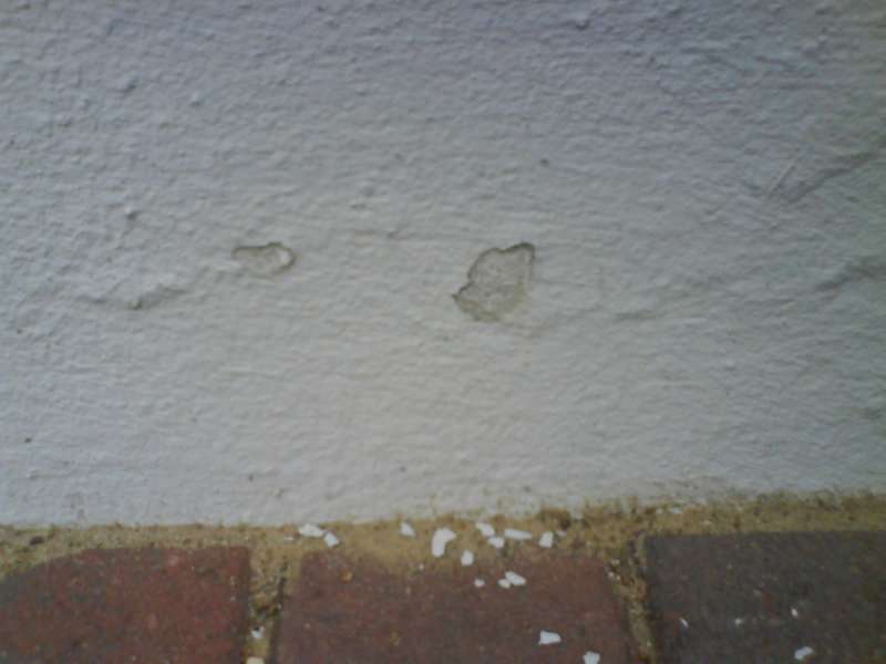 BAU.DE / BAU-Forum: 1. Bild zu Frage "Sockel sanieren: Ursachen für Salzausblühungen, Kosten & Sanierungsmethoden?" im BAU-Forum "Außenwände und Fassaden" BAU.DE / BAU-Forum: 1. Bild zu Frage "Sockel sanieren: Ursachen für Salzausblühungen, Kosten & Sanierungsmethoden?" im BAU-Forum "Außenwände und Fassaden"