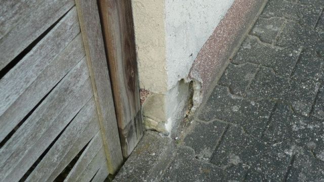 BAU.DE / BAU-Forum: 4. Bild zu Frage "Sockelputz l&ouml;st sich durch Pflaster: Ursachen, Sanierung & Nachbarrecht?" im BAU-Forum "Au&szlig;enw&auml;nde und Fassaden"