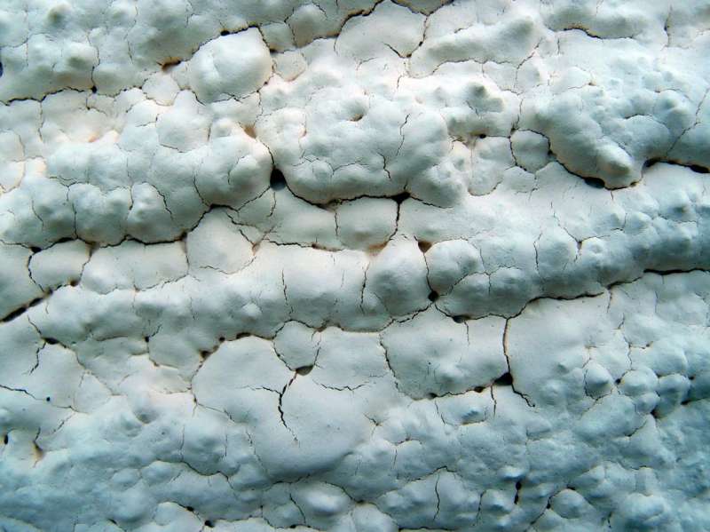 BAU.DE / BAU-Forum: 1. Bild zu Frage "Fassadenfarbe von Caparol reißt: Ursachen, Reklamation & Sanierungskosten?" im BAU-Forum "Außenwände und Fassaden" BAU.DE / BAU-Forum: 1. Bild zu Frage "Fassadenfarbe von Caparol reißt: Ursachen, Reklamation & Sanierungskosten?" im BAU-Forum "Außenwände und Fassaden"