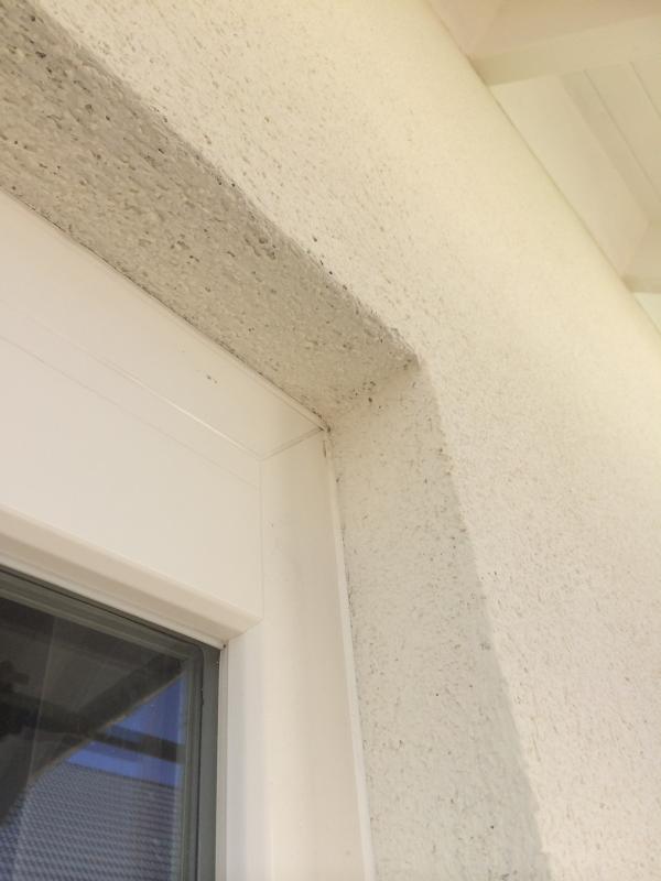 BAU.DE / BAU-Forum: 1. Bild zu Frage "Silikonharzputz: Mindestdicke f&uuml;r Oberputz? Verarbeitung, Untergrund & Haltbarkeit" im BAU-Forum "Au&szlig;enw&auml;nde und Fassaden"