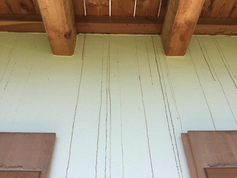 BAU.DE / BAU-Forum: 2. Bild zu Frage "Braune Wasserflecken an Hauswand: Ursachen, Risiken & Sofortma&szlig;nahmen?" im BAU-Forum "Au&szlig;enw&auml;nde und Fassaden"