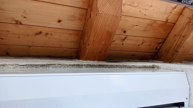 BAU.DE / BAU-Forum: 3. Bild zu Antwort "Schimmel Außenwand entfernen und Neubildung verhindern: Welche Art von Anstrich bzw. Farbe für den Außenputz verwenden?" auf die Frage "Schimmel außen zwischen Rollladenkasten und Außenputz  -  Wie am besten entfernen?" im BAU-Forum "Außenwände und Fassaden"