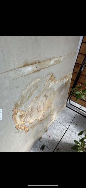 Bild zum BAU-Forumsbeitrag: Wasserschaden Außenfassade - Trocknung im Forum Außenwände und Fassaden