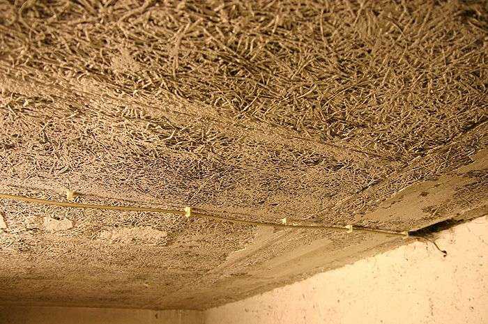 Bild zum BAU-Forumsbeitrag: Dämmstoff von 1964  -  Asbest? im Forum Baustoffe