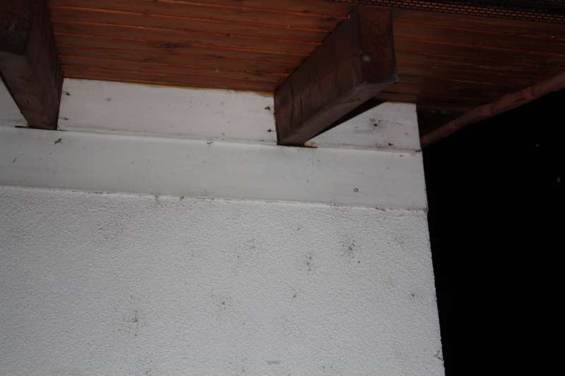 BAU.DE / BAU-Forum: 2. Bild zu Frage "Tauwasser auf Dampfsperre: Ursachen, Folgen & Lösungen für feuchte Dämmung?" im BAU-Forum "Dach" BAU.DE / BAU-Forum: 2. Bild zu Frage "Tauwasser auf Dampfsperre: Ursachen, Folgen & Lösungen für feuchte Dämmung?" im BAU-Forum "Dach"