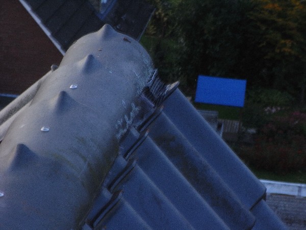 BAU.DE / BAU-Forum: 5. Bild zu Frage "Schiefe Firstpfannen nach Dachsanierung: Ursachen, Risiken & Korrektur durch Fachmann?" im BAU-Forum "Dach"