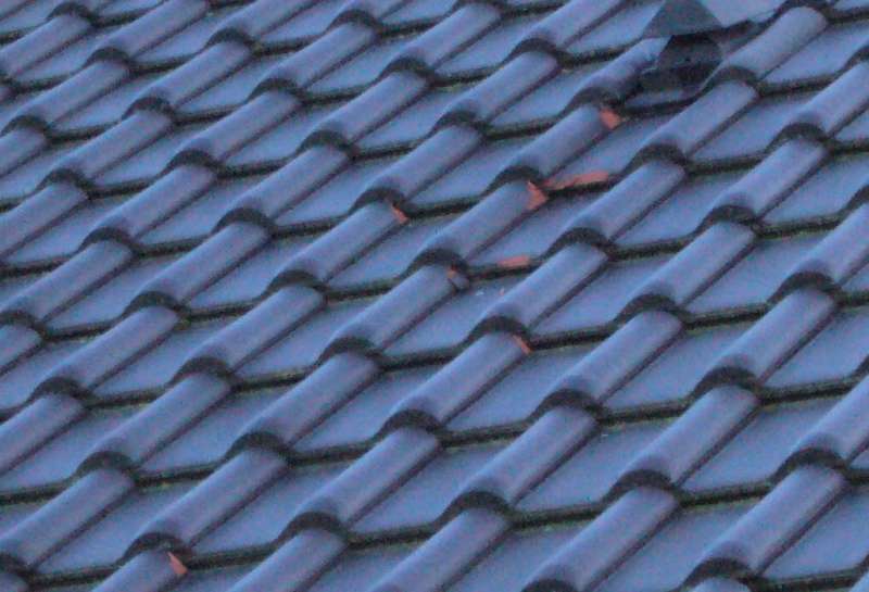 BAU.DE / Forum: 1. Bild zu Antwort "Das gleiche Problem - Frostschäden" auf die Frage "Frostschäden Tondachziegel - Hersteller Firma Pfleiderer pleite" im Forum "Dach"