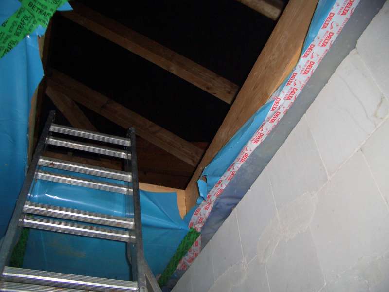 BAUForum Schimmel zwischen Dämmung und OSB Platten Lösung? BAU.DE