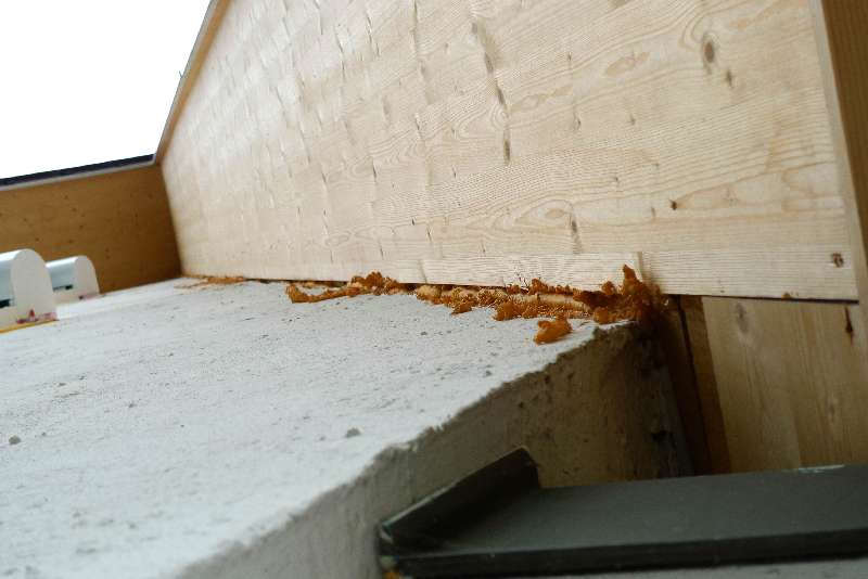 BAU.DE / BAU-Forum: 4. Bild zu Antwort "Aufsparrend&auml;mmung: Fotos der Ausf&uuml;hrung von au&szlig;en" auf die Frage "Aufsparrend&auml;mmung: Luftdichtheitsprobleme ohne WDVS? Ursachen, L&ouml;sungen & Blower-Door-Test" im BAU-Forum "Dach"