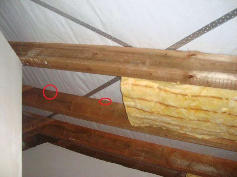 BAU.DE / BAU-Forum: 1. Bild zu Frage "Nagel neben Balken eingeschlagen im Neubau: Was tun bei Besch&auml;digung?" im BAU-Forum "Dach"