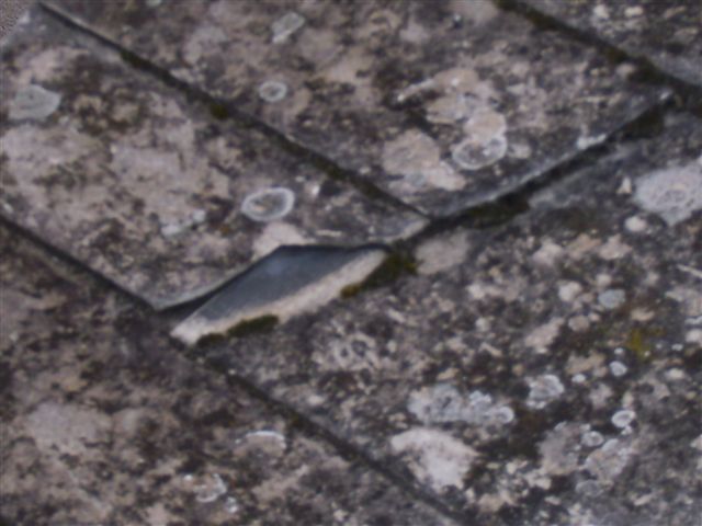 BAU.DE / BAU-Forum: 1. Bild zu Antwort "Faserbetonplatten: Lebenserwartung, Hagelschaden und Versicherungsfall" auf die Frage "Wintergarten Dachsanierung nach Hagelschaden: Klemmprofile wiederverwenden? Kosten & Gutachten" im BAU-Forum "Dach"