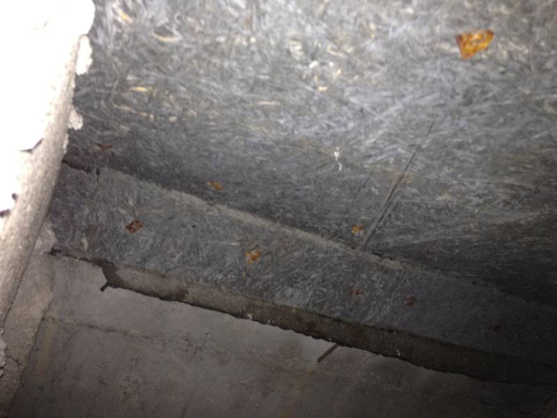 BAU.DE / BAU-Forum: 1. Bild zu Frage "Drempel dämmen & Heraklith-Wand versetzen: Aufbau, Risiken & Kosten im Altbau?" im BAU-Forum "Dach" BAU.DE / BAU-Forum: 1. Bild zu Frage "Drempel dämmen & Heraklith-Wand versetzen: Aufbau, Risiken & Kosten im Altbau?" im BAU-Forum "Dach"