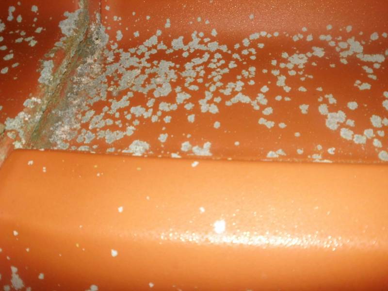 BAU.DE / BAU-Forum: 1. Bild zu Frage "Moos & Flechten vom Dachziegel entfernen: Ursachen, Methoden & Empfehlungen?" im BAU-Forum "Dach"