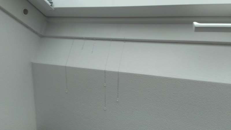 BAU.DE / BAU-Forum: 3. Bild zu Frage "Velux Dachfenster: Wassereintritt bei Kälte – Ursachen, Kondensat & Lösungen?" im BAU-Forum "Dach" BAU.DE / BAU-Forum: 3. Bild zu Frage "Velux Dachfenster: Wassereintritt bei Kälte – Ursachen, Kondensat & Lösungen?" im BAU-Forum "Dach"