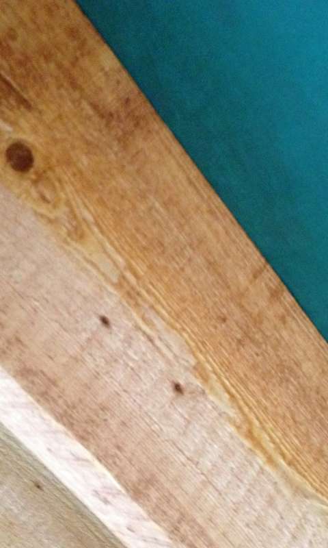 BAU.DE / BAU-Forum: 1. Bild zu Antwort "Nagelband statt Dichtungsmasse: Wassereintritt am Sparren?" auf die Frage "Feuchte Dachsparren Neubau vor Eindeckung: Ursachen, Risiken & Sanierung?" im BAU-Forum "Dach"