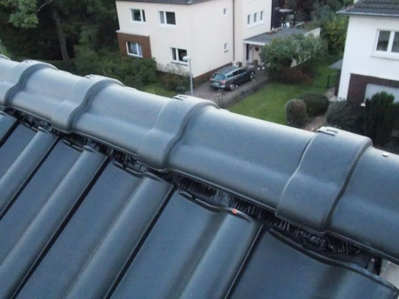 BAU.DE / BAU-Forum: 2. Bild zu Frage "Trockenfirst Dicht?" im BAU-Forum "Dach"