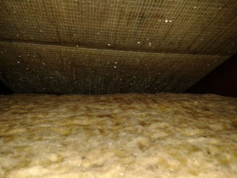 Bild zum BAU-Forumsbeitrag: Zwischensparrendämmung teilweise durch Tauwasser nass im Forum Dach