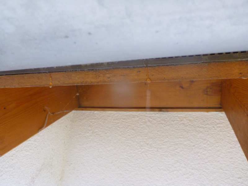 Bild zum Forumsbeitrag: Wasser tropft aus Dachunterlüftung - Ursachen?