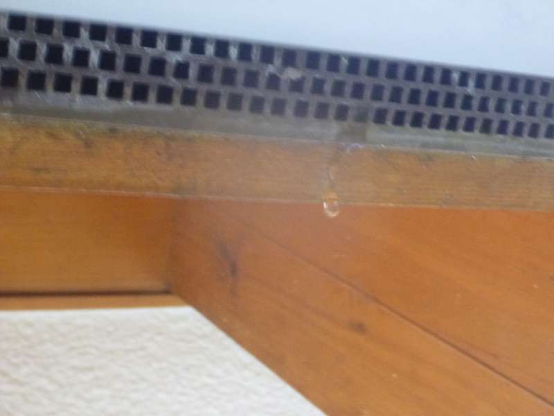 Bild zum Forumsbeitrag: Wasser tropft aus Dachunterlüftung - Ursachen?