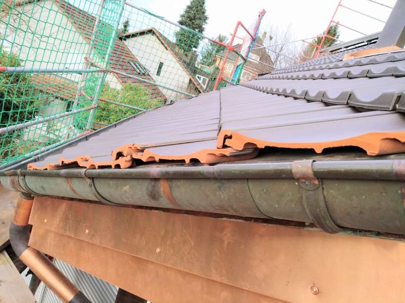 Bild zum BAU-Forumsbeitrag: Dachziegel geschnitten  -  Schutz gegen Kleintiereinnistung im Forum Dach