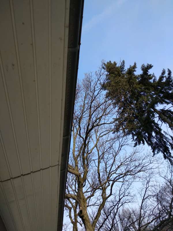 Bild zum BAU-Forumsbeitrag: Feuchtigkeit im Dach im Forum Dach