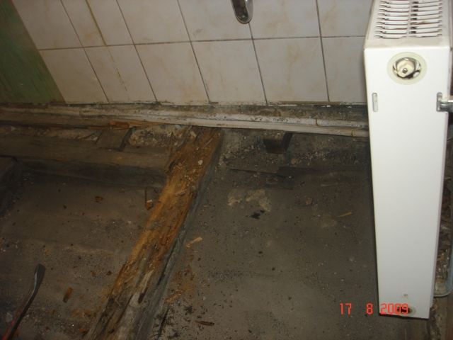 BAU.DE / BAU-Forum: 2. Bild zu Antwort "✅ Ursache gefunden: Abfluss-Sifon undicht &ndash; Badsanierung!" auf die Frage "Bodenfliesen im Bad abgeplatzt: Ursachen, Reparatur & Bodenausgleich &ndash; Anleitung?" im BAU-Forum "Estrich und Bodenbel&auml;ge"