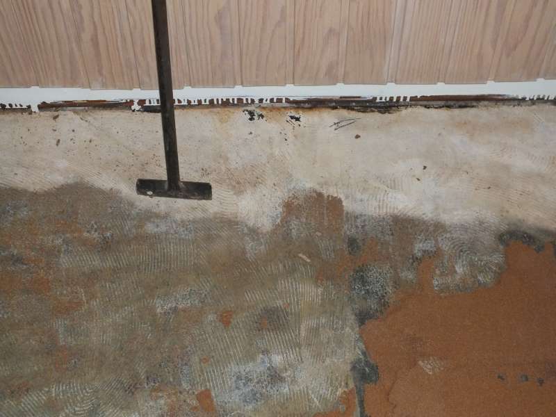 BAU.DE / BAU-Forum: 2. Bild zu Frage "Ben&ouml;tige Rat, PVC/Linoleum Boden entfernt!" im BAU-Forum "Estrich und Bodenbel&auml;ge"