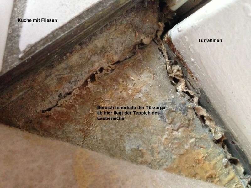 BAU.DE / BAU-Forum: 2. Bild zu Frage "Boden knackt &nbsp;-&nbsp; st&uuml;rzt die Decke ein?" im BAU-Forum "Estrich und Bodenbel&auml;ge"