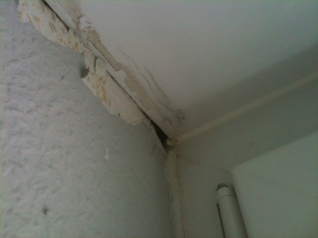 BAU.DE / BAU-Forum: 1. Bild zu Frage "Schimmel am Rollladenkasten im Neubau: Ursachen, Folgen & Sanierung?" im BAU-Forum "Fenster und Au&szlig;ent&uuml;ren"