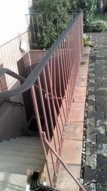 BAU.DE / BAU-Forum: 1. Bild zu Frage "Treppengeländer durch Unfall beschädigt. Was nun?" im BAU-Forum "Rund um den Garten"