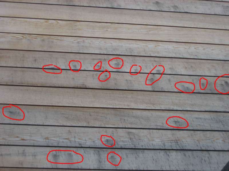 BAU.DE / BAU-Forum: 4. Bild zu Frage "Schwarze Flecken / Auswaschungen auf Zedernverschalung" im BAU-Forum "Holzschutz, Holzschäden, Holzsanierung"