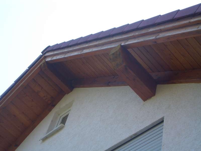 BAU.DE / BAU-Forum: 1. Bild zu Frage "Sanierung Dachüberstand" im BAU-Forum "Holzschutz, Holzschäden, Holzsanierung"