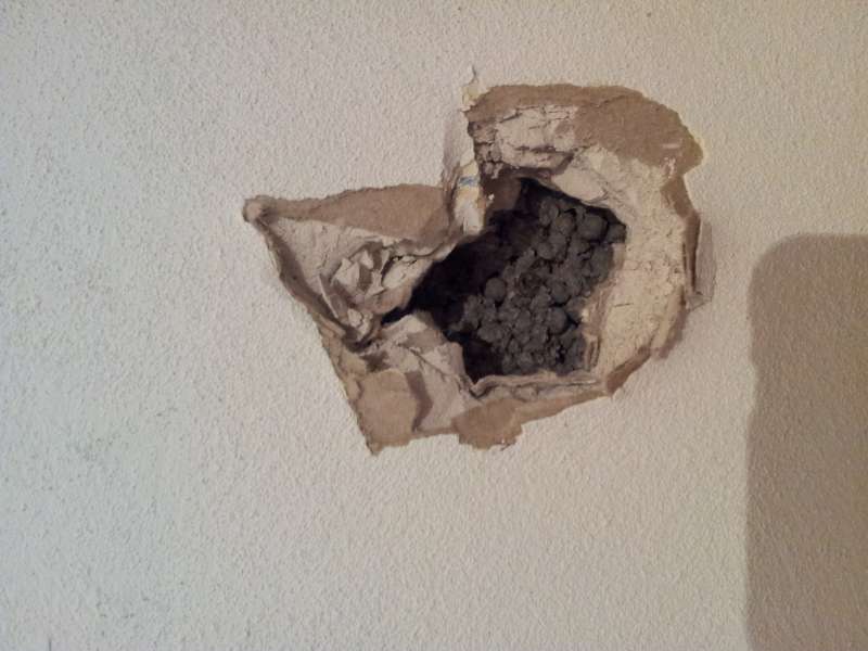 BAU.DE / BAU-Forum: 1. Bild zu Frage "Trennwand Material bestimmen: Zusammensetzung, Stabilit&auml;t & Abbruch-Risiken?" im BAU-Forum "Innenw&auml;nde"