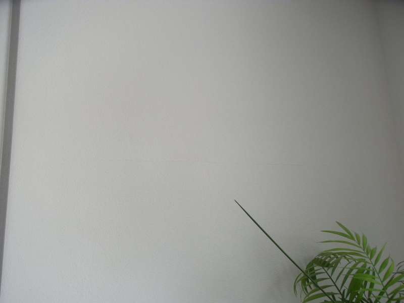 BAU.DE / BAU-Forum: 1. Bild zu Frage "Kalkputz Risse & W&uuml;lste: Ursachen, Sanierung & Bautr&auml;ger-Haftung?" im BAU-Forum "Innenw&auml;nde"