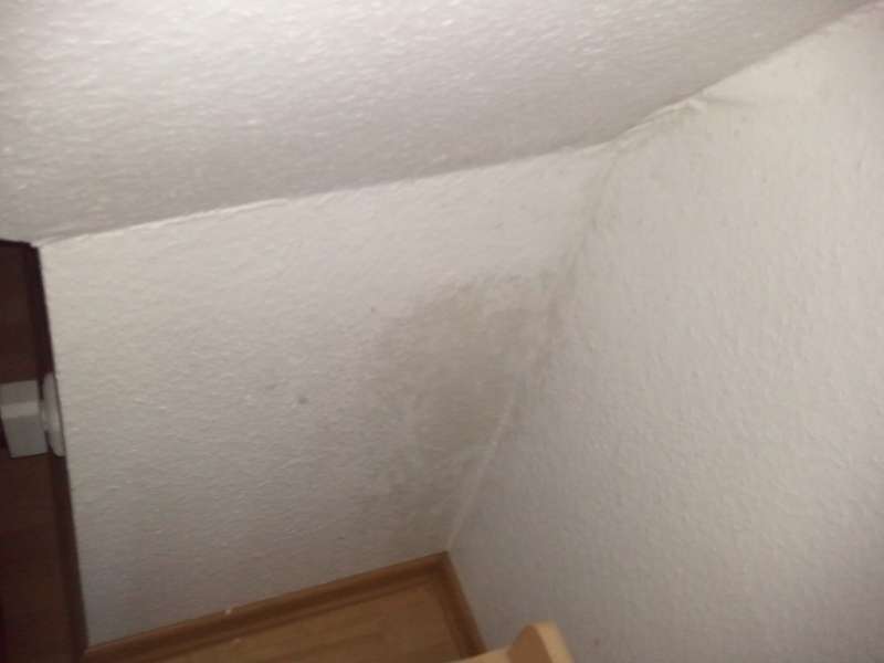 BAU.DE / BAU-Forum: 4. Bild zu Frage "Feuchtigkeit in Dachgeschoss-Ecken: Ursachen, Folgen & L&ouml;sungen f&uuml;r Innenw&auml;nde?" im BAU-Forum "Innenw&auml;nde"