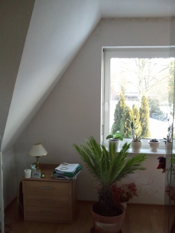 BAU.DE / BAU-Forum: 5. Bild zu Frage "Feuchtigkeit in Dachgeschoss-Ecken: Ursachen, Folgen & L&ouml;sungen f&uuml;r Innenw&auml;nde?" im BAU-Forum "Innenw&auml;nde"