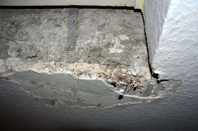 BAU.DE / Forum: 2. Bild zu Frage "Wandplatten aus Holz-Mineralstoffmischung aus den sechziger Jahre identifizieren" im Forum "Innenwände"