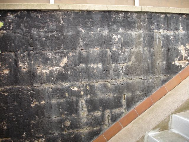 BAU.DE - Forum - Keller - 12755: Verkleiden oder verputzen von