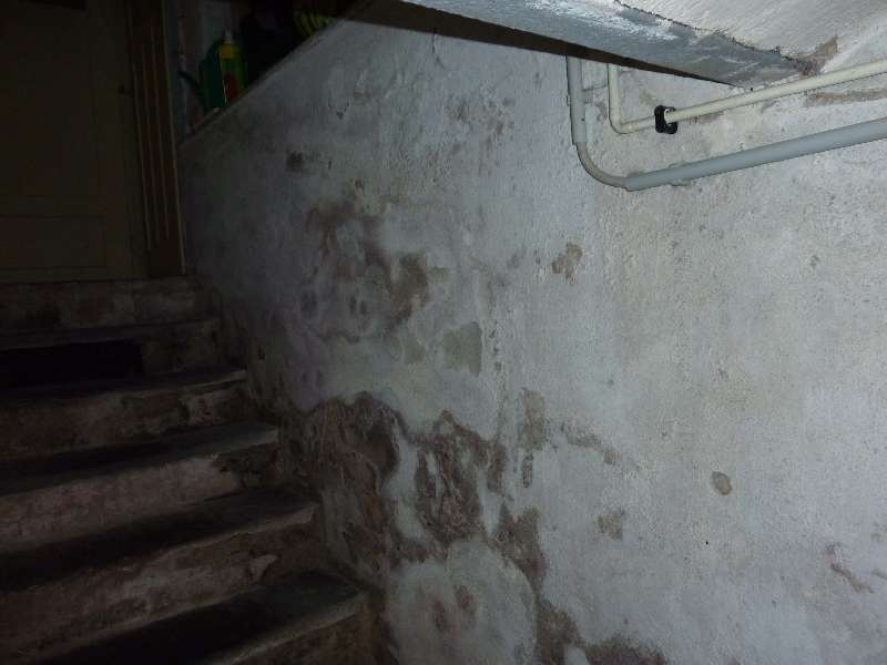 BAU.DE / BAU-Forum: 2. Bild zu Antwort "Kellerl&uuml;ftung: Au&szlig;entemperatur vs. Innentemperatur &ndash; Faustregel" auf die Frage "Feuchten Keller im Sommer l&uuml;ften? Tipps zur Vermeidung von Kondenswasser & Schimmel" im BAU-Forum "Keller"